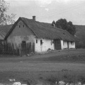 Csakberenyi fotok 1966 vizjellel-84